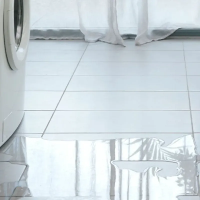 Appliance Leak Cleanup in Ames Lake, WA