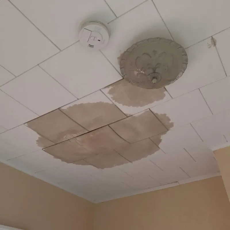 Ceiling Water Damage Repair in Ames Lake, WA