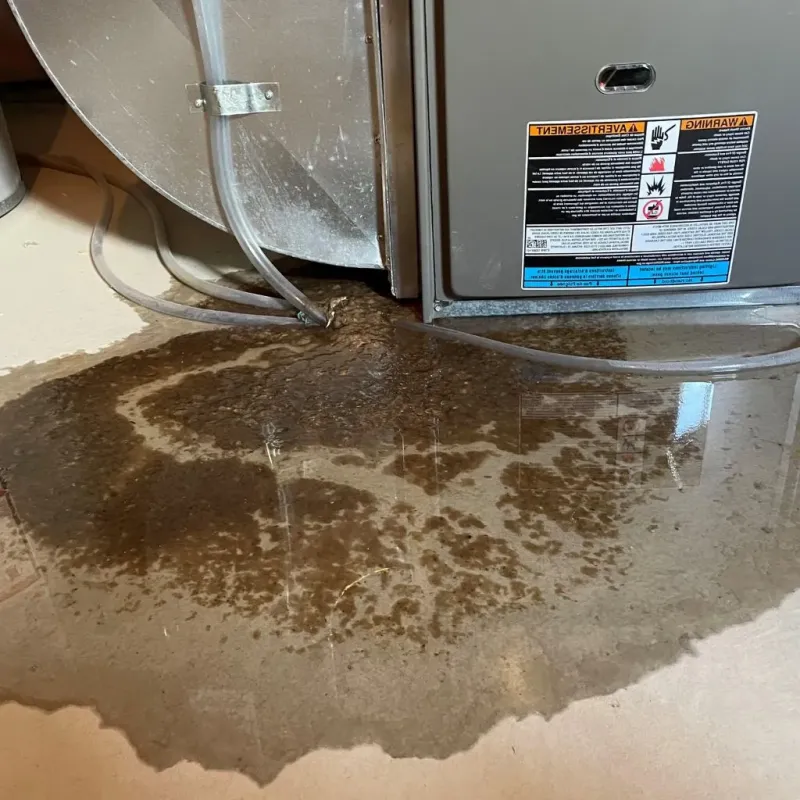 Pipe Burst and Leak Restoration in Ames Lake, WA