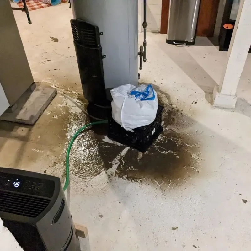 Sewage Backup Cleanup Service in Ames Lake, WA